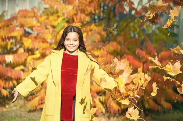 トレンディな美しさ。カエデの葉を持つ女の子。公園を歩いてる。秋のコートを着た流行の女の子。天気予報だ。森の中の落ち葉。秋の自然。学校のシーズンファッション。幸せな小さな子供の屋外 — ストック写真