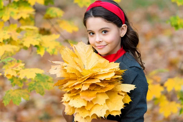 Bambino sorridente manciata di foglie d'acero giallo nel parco, bellezza autunnale — Foto Stock