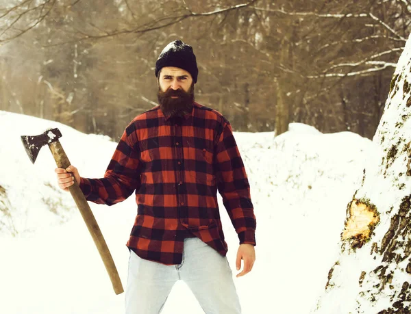 Yakışıklı ya da oduncu.