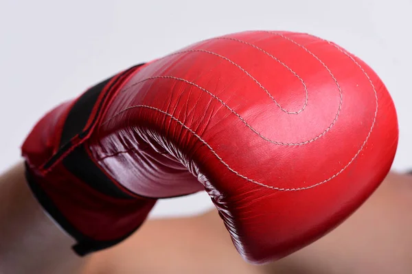 Athlete with box equipment isolated on white background — Stock Photo, Image