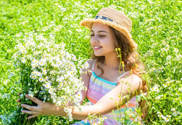 Lány betakarítás virágzó gyógynövények napos nyári nap, öko-koncepció — Stock Fotó