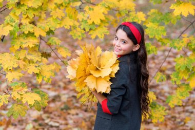 Sonbahar tarzı. Parktaki çocuk. Sarı akçaağaç yapraklı neşeli kız. Mutlu çocuk sonbahar havasını sever. Sonbahar yapraklı küçük kız. Sonbahar zamanı. Sonbahar ormanında uzun saçlı bir çocuk. Doğanın güzelliği