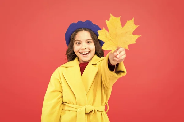 太美了上课时间。童年的快乐穿着法国贝雷帽和黄色外套的巴黎女孩。有枫叶的快乐小女孩。秋天。落叶丛生。秋季童装时尚 — 图库照片