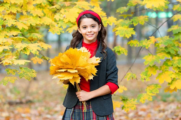 Gewoon ontspannen. kind houden herfst bladeren. schoonheid van de natuur. Gelukkig retro meisje. meisje verzamelen gele esdoorn bladeren. Een kind in het herfstpark. herfst is een tijd voor school. goed weer om buiten te wandelen — Stockfoto