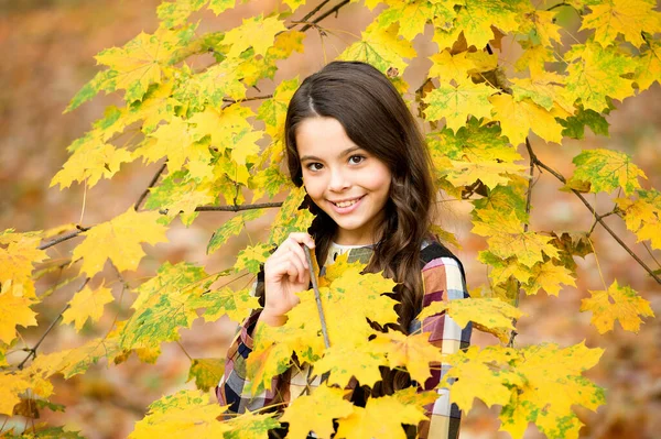 Adorabile bambino con bel sorriso godersi la stagione autunnale, la natura — Foto Stock