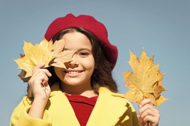 Havada düşüş var. Sonbahar tatili için fikirler. Çocuk akçaağaç yapraklarını tut. Küçük kız dışarıda sonbahar kıyafeti giyiyor. Sonbahar yapılacaklar listesi. Gülümseyen çocuk hatıraları topluyor. Sonbahara elveda. Geçen sonbahar kirişleri