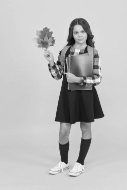 Daha fazla bilgi kimseyi incitmez. Sevimli küçük kız kitap ve sonbahar yapraklarını tutuyor. Sevimli küçük çocuk okula geri döndü. Bilgi ve beceriler. Eğitim bilgi verir. Bilgi toplama günü. 1 Eylül