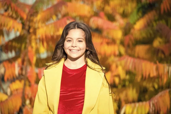 Autumn beauty. Girl smiling face walking in park. Upcoming events. Trendy girl in autumn coat. Weather forecast. Happy little child outdoors nature background. Autumn warm weather. October to do list