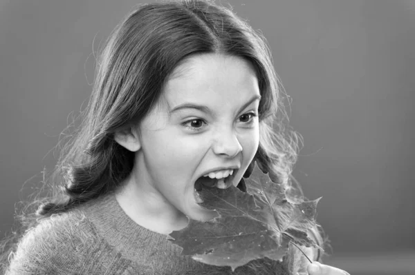 Ingrediente in cottura e dolcificante. Sciroppo d'acero. Il bambino tiene la foglia d'acero. Sorridi da bambina con foglia d'acero. Sciroppo d'acero spesso usato come condimento per frittelle cialde o porridge. Invece di zucchero — Foto Stock