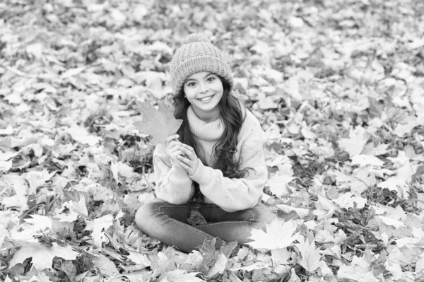 Folha incrível. Menina feliz segurar folha de bordo. Menina pequena sorriso sentado em folhas de outono. Menina pequena gosta de brincar no ar fresco. Menina bonito no dia de outono — Fotografia de Stock