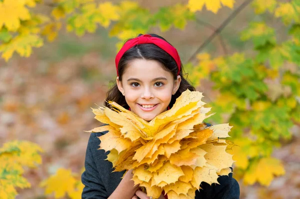 Bellezza in stile autunnale. ragazza raccogliere foglie di acero giallo. Ragazzo al parco. autunno è un momento per la scuola. bel tempo per passeggiate all'aperto. bambino tenere foglie autunnali. bellezza della natura. felice ragazza retrò — Foto Stock