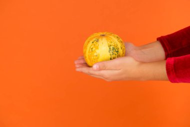 Sonbahar hasadı. Cadılar bayramı balkabağı elinde çocuk, turuncu arka planda tatil için Jack O feneri yaratıyor. Cadılar bayramın kutlu olsun. Sağlık için yararlı. Vitamin dolu. çocuklar için organik diyet