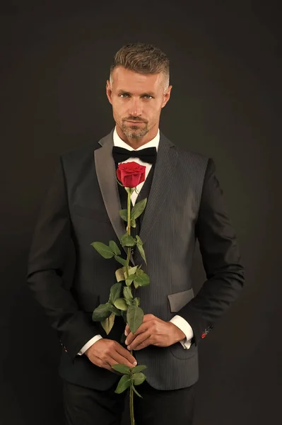 Um homem vestido de smoking com rosa. Groom com gravata e rosa vermelha. seu elegante dia dos namorados. homem smoking segurar rosa. homem de smoking oferece casamento. alfaiate ou frac. rosa vermelha símbolo de amor. amor romântico — Fotografia de Stock