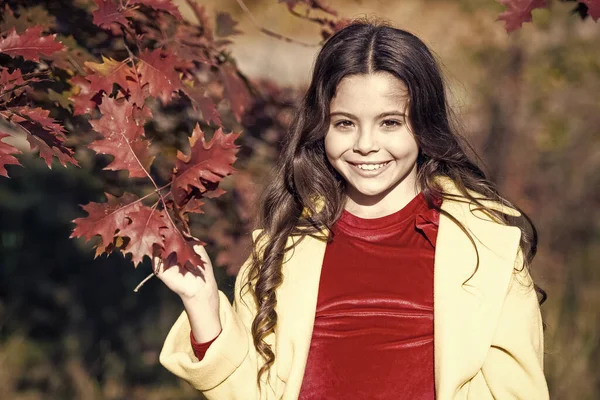 10月だ。小さな女の子は晴れた秋の日に新鮮な空気で遊ぶ。秋の公園を小さな子供が歩く。幸せな秋の休日。牧歌的な自然シーン。今年の秋を生きる — ストック写真