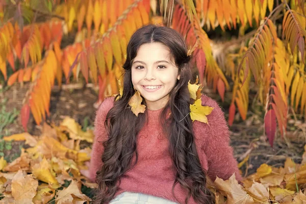 Bela época. Fim de semana ensolarado. Outono quente. Menina sorridente elegante em um parque de outono. Folhas caídas. Natureza de outono. A pequena criança feliz ao ar livre joga com folhas. Menina sentar-se relaxante no parque dia ensolarado — Fotografia de Stock