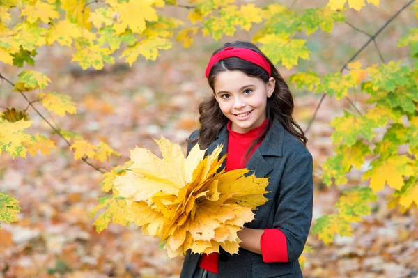 Felice ragazza manciata di foglie di acero giallo nel parco, natura autunnale — Foto Stock