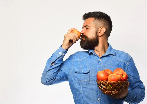 Άντρας με γενειάδα κρατά ψάθινο μπολ με φρούτα μήλου — Φωτογραφία Αρχείου