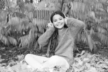 Keyifli bir ortam için müzik. Açık havada müziğin tadını çıkarın. Sıcak bir gün. Sonunda sonbahar geldi. Tamamen rahatlamak için özel enstrümantal müzik koleksiyonu. Kulaklıklarıyla sonbahar ağacının yanında dinlenen kız çocuğu.