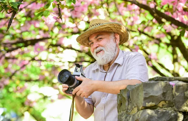 Complete relax. man tourist use camera take photo of cherry blossom. sakura in bloom photography. senior bearded man photographing pink blossom. professional photographer designer. happy retirement — Stock Photo, Image