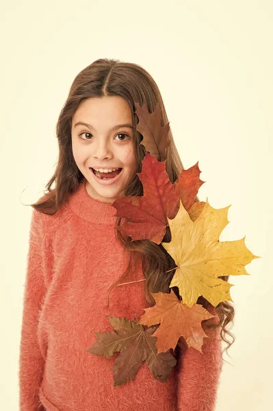 Der saisonale Haarausfall im Herbst wird meist durch die Auswirkungen des Sommers verursacht. Mädchen niedliches Kind lange Haare trockene Herbstblätter. Haarausfall-Konzept. Heilmittel beschädigtes Haar. Kind lächelt weißen Hintergrund — Stockfoto
