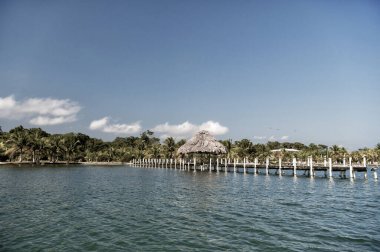 yeşil palmiyeli bungalov köprüde