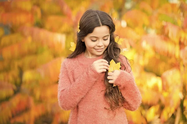 Gioca con le foglie. Buona infanzia. Festa d'autunno. Semplice felicità. Il bambino si gode l'autunno all'aperto. Incontra l'autunno. Bambina sorridente felice bambino carino splendidi capelli lunghi foglie d'acero. Accogliente giornata autunnale — Foto Stock