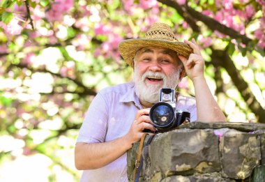 Yaz tatili. Fotoğrafçı adam, Sakura 'nın çiçek fotoğrafını çek. Kiraz çiçeği açan bahçe. Fotoğrafçı kayısı çiçeğinin fotoğrafını çekiyor. Pembe çiçekli bahar mevsimi. Yaşlı adam genç bitkileri izliyor.