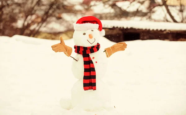 Lindo hombre de nieve al aire libre. Muñeco de nieve con sombrero bufanda y guantes de nieve fondo de la naturaleza. Actividad invernal. Vacaciones de invierno. Muñeco de nieve adorable divertido lindo mueca. Feliz infancia. Primera nieve. Pronóstico tiempo — Foto de Stock