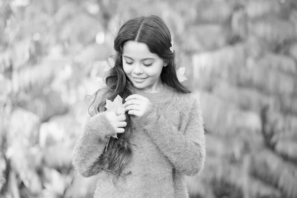 Play with leaves. Happy childhood. Fall festival. Simple happiness. Kid enjoy autumn outdoors. Meet autumn. Little girl smiling happy cute child gorgeous long hair maple leaves. Cozy autumn day — Stock Photo, Image