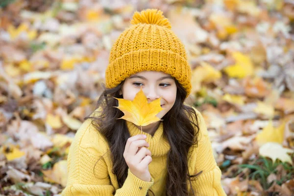 Boldog tinédzser gyerek szórakozás őszi erdőben gyönyörű szezonális juharfalevél visel meleg kötött ruhát, mint a kalap és pulóver, őszi stílus — Stock Fotó