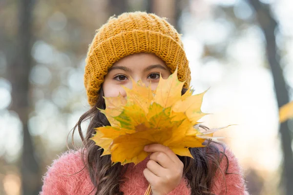 Autunno bambino in elegante cappello a maglia e maglione caldo godersi la giornata nella foresta tenendo foglie di acero giallo come simbolo della stagione autunnale, divertendosi — Foto Stock
