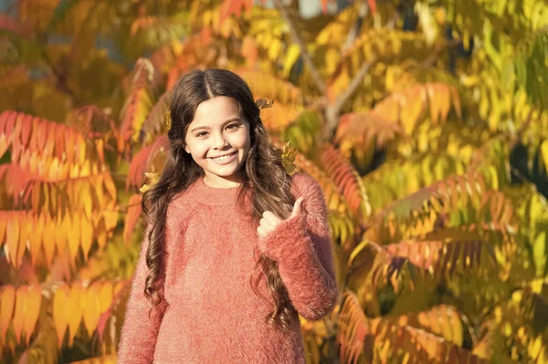 Le giornate autunnali sono di nuovo qui. Il bambino piccolo mostra pollici su con foglie gialle in capelli. Bambino felice sul paesaggio autunnale. Il bambino gioca all'aria aperta. Ogni bambino è innocente. — Foto Stock