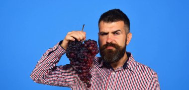 Baştan çıkarıcı yüzlü bir şarap üreticisi üzüm kümesini yüze yakın tutar.