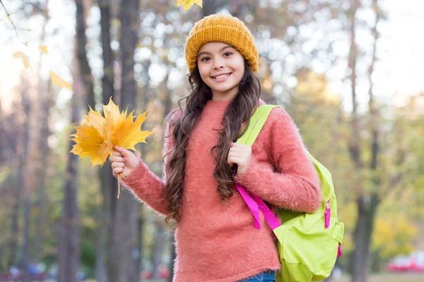 Il posto che vuoi essere. bambino felice indossare maglia maglione e cappello. teen girl raccolta foglie cadute. passeggiata bambino nella foresta autunnale. moda vestiti caldi. tempo stagionale. bellezza della natura autunnale — Foto Stock