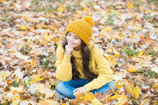 Tökéletes őszi nap vidám gyermek kötött kalap és pulóver pihenni őszi szezonban erdő élvezi a jó idő, őszi divat — Stock Fotó