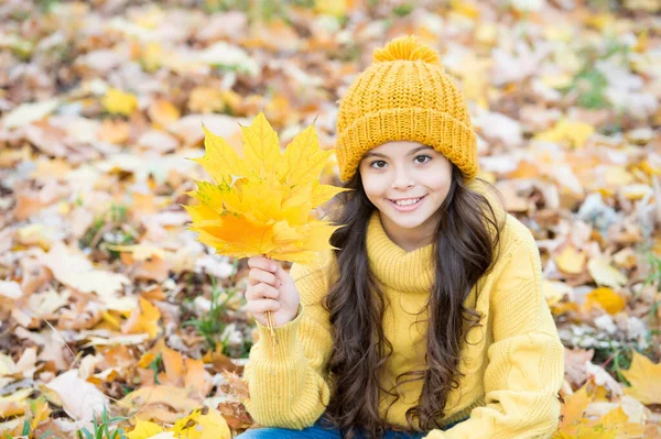 Tökéletes őszi nap vidám gyerek kötött kalap és pulóver pihenni őszi szezonban erdő élvezi a jó idő, juharfalevél — Stock Fotó