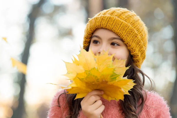 Bambino adolescente sorridente in cappello lavorato a maglia e maglione tengono foglie di acero giallo nella foresta del parco nella stagione autunnale con tempo caldo, bellezza autunnale — Foto Stock