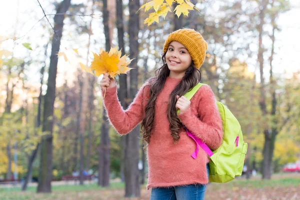 Torniamo a scuola. felicità infantile. bellezza della natura autunnale. bambino felice indossare maglione e cappello. teen girl raccolta foglie cadute. passeggiata bambino nella foresta autunnale. moda vestiti caldi. Casualmente bella — Foto Stock