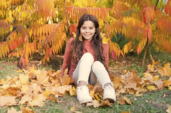 Sonniges Wochenende. Herbstlich warm. Stylisch lächelndes Mädchen in einem herbstlichen Park. Gefallene Blätter. Herbstliche Natur. Glückliches kleines Kind im Freien spielt mit Blättern. Mädchen sitzen entspannt im Park sonnigen Tag. Schöne Jahreszeit — Stockfoto