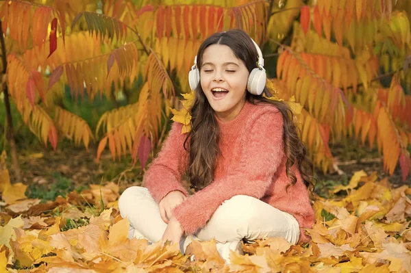 该是有心情欣赏一些伟大音乐的时候了。小女孩带着耳机在秋天的树上放松。秋天的音乐让人心情舒畅.秋季演奏会的概念。享受户外音乐秋天温暖的日子 — 图库照片