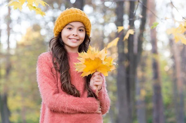En iyi tatiller. Sonbahar güzeli. Ormanda günün tadını çıkar. Sarı akçaağaç yapraklarını düzenleyen çocuk. Sonbahar örgü moda. İlham için romantik bir sezon. Mutlu çocukluk. Genç kız parkta dinleniyor.