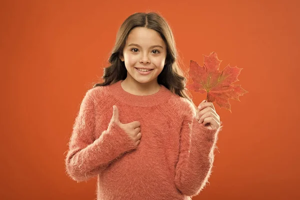 Elégedett gyerek mutassa a hüvelykujját. Kis gyermek tartja juharfalevél változó színű. Ünnepeljük az őszt. Az ősz a legjobb szezon. Kislány mosolygott őszi levéllel és feltartott hüvelykujjakkal. Hüvelykujj fel vagy tetszik — Stock Fotó