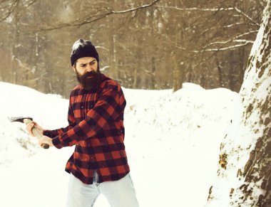 Yakışıklı adam ağaç kesiyor.