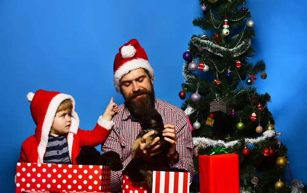 サンタ帽子の男と男の子遊びとともに子犬 — ストック写真