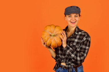 Şuna bir bak. kopyalama alanı. Hasat zamanı. Sarı olgun balkabağı. Balkabaklı Şükran Günü. Su kabağı olan klasik bir kadın. Yiyecek ve hasat. Mutlu kadın kareli gömlek ve şapka. Teşekkür et.