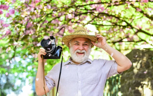 春天的时候大胡子男子拍摄粉红色的花。专业摄影师设计师。退休快乐。男人用相机拍照樱花。盛开摄影中的樱花 — 图库照片