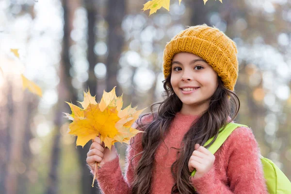 Bambino sorridente adolescente in maglia cappello e maglione portare zaino scuola tenere foglie di acero giallo nella foresta del parco in autunno stagione con il caldo, torna a scuola — Foto Stock