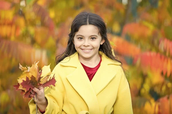 Miscele diffusore caduta. Felice passeggiata bambino sul paesaggio autunnale. I bambini piccoli amano passeggiare nel parco autunnale. Bambina divertendosi e giocando con le foglie autunnali. Tempo fresco autunno — Foto Stock