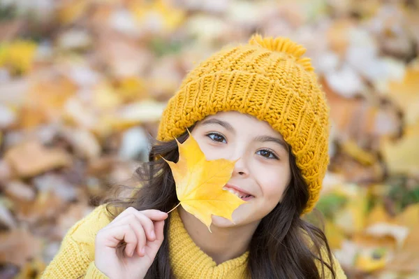 Boldog tizenéves gyermek szórakozás őszi erdőben gyönyörű szezonális juharfalevél visel meleg kötött ruhát, mint a kalap és pulóver, gyerek divat — Stock Fotó