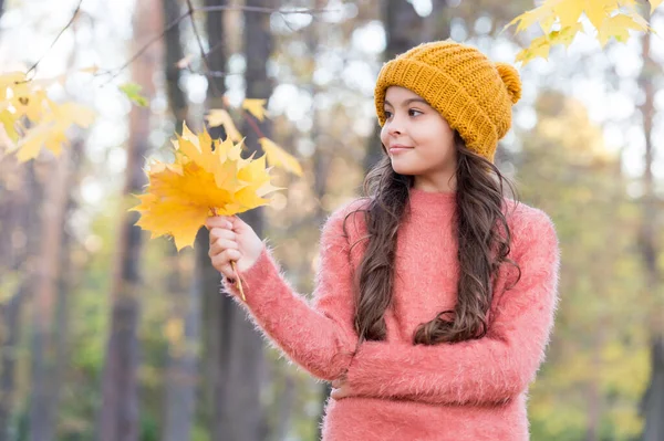 Chica adolescente sonriente en sombrero de punto y suéter sostienen hojas de arce amarillo en el bosque del parque en la temporada de otoño con clima cálido, otoño —  Fotos de Stock